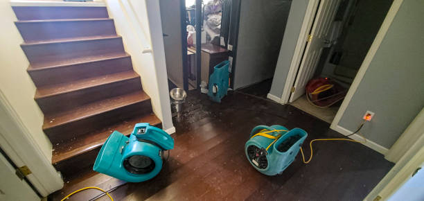 Best Fire Damage Restoration  in Benton Heights, MI