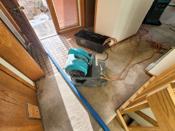 Best Water damage restoration near me  in Benton Heights, MI
