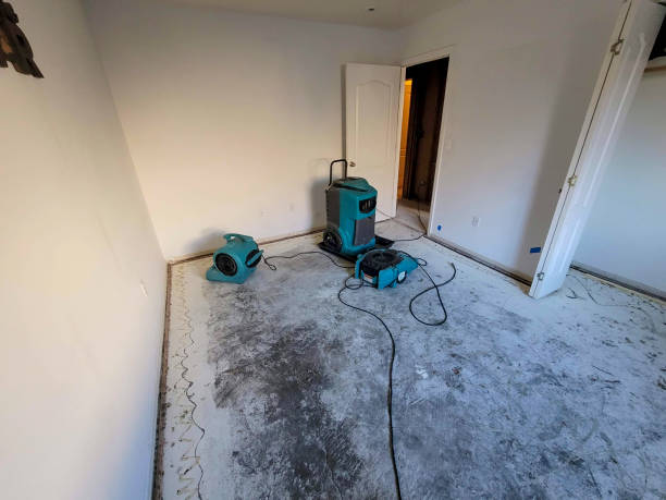 Best Ceiling water damage repair  in Benton Heights, MI