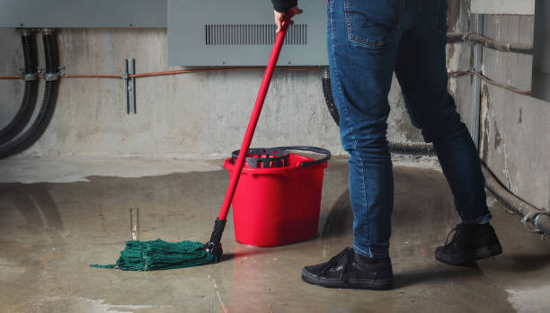 Best Water damage restoration near me  in Benton Heights, MI