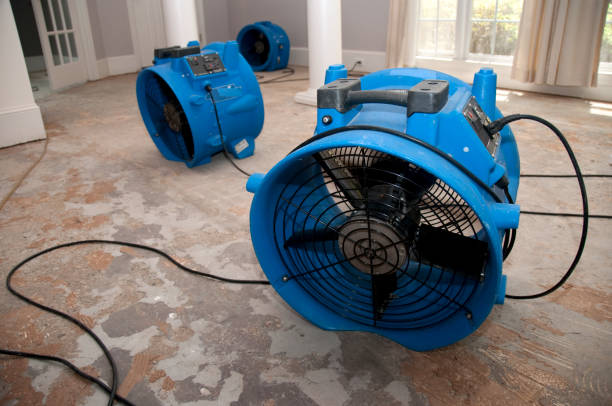 Best Ceiling water damage repair  in Benton Heights, MI