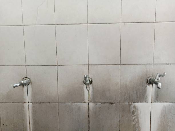 Best Water damage restoration specialists  in Benton Heights, MI