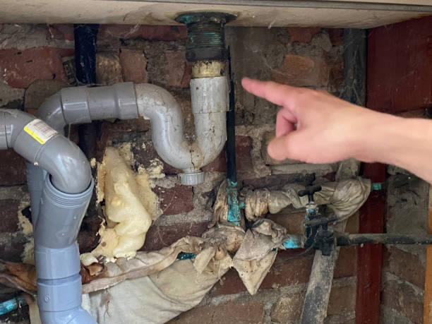Best Commercial water damage restoration  in Benton Heights, MI