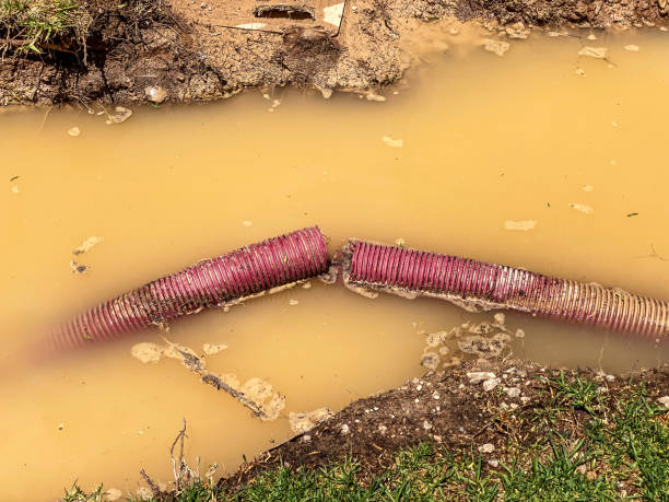 Best Water damage restoration cost  in Benton Heights, MI